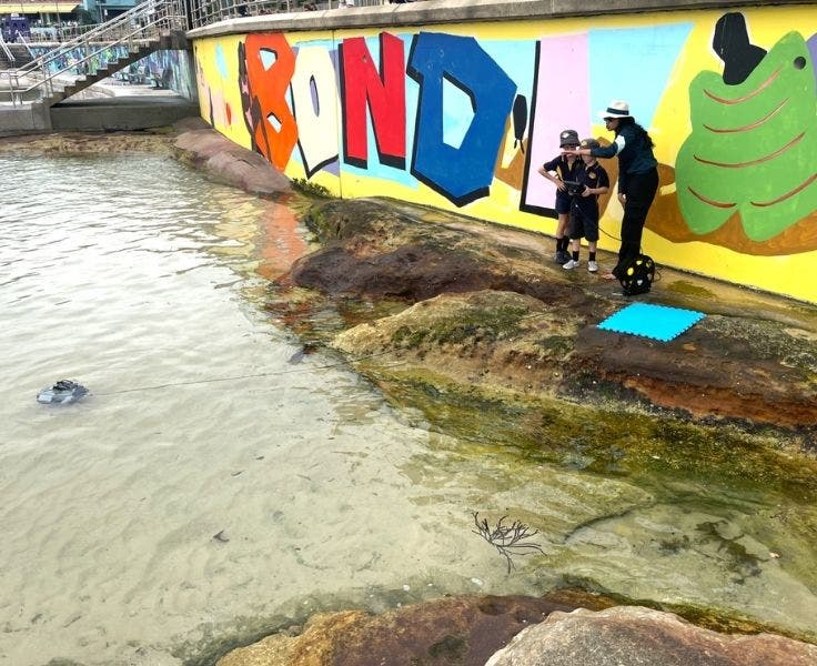 Students involved in a range of sustainability sessions at the Ocean Lover's festival.