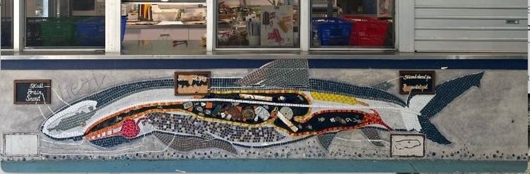 Photo of the shark mosaic underneath the school SharkBite canteen.